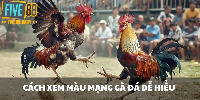Cách xem màu mạng gà đá dễ hiểu