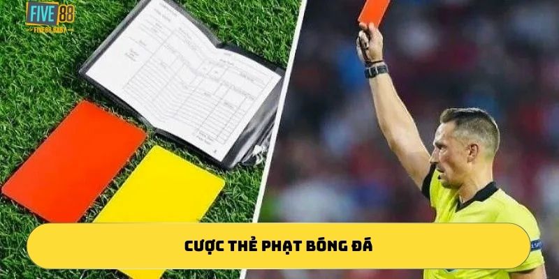 cược thẻ phạt bóng đá đỉnh cao