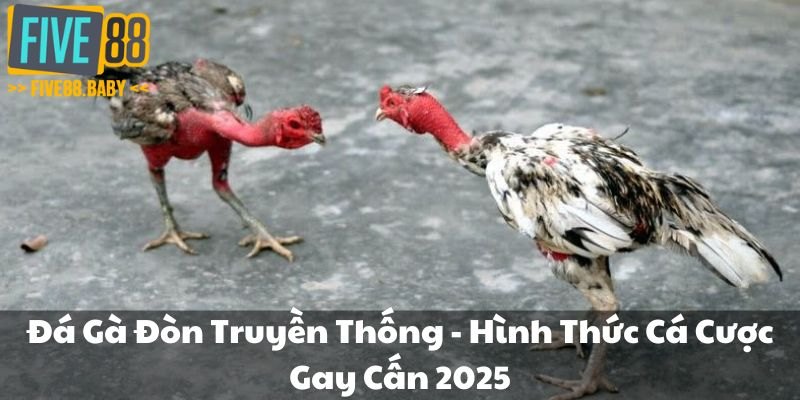 đá gà đòn truyền thống