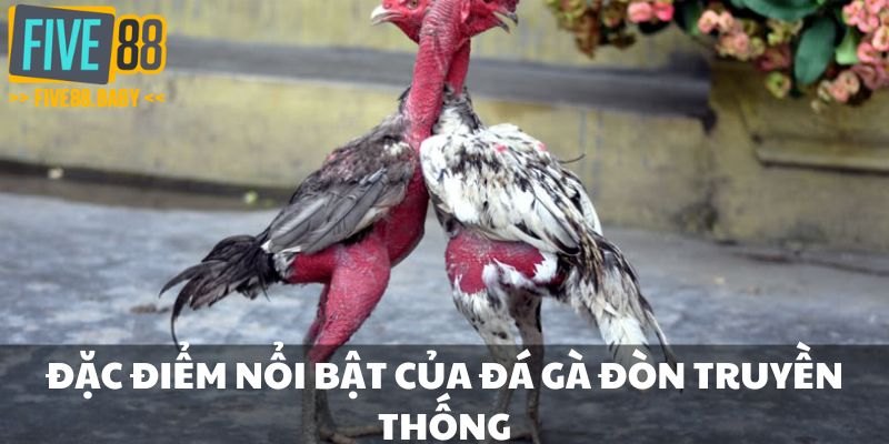 Đặc điểm nổi bật của đá gà đòn truyền thống
