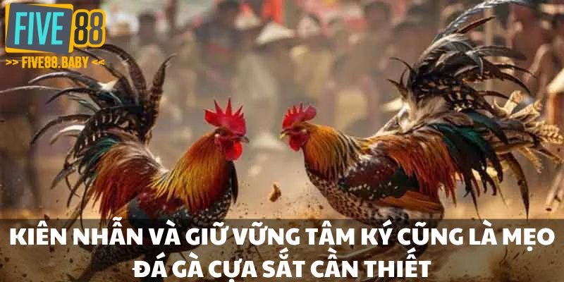 Kiên nhẫn và giữ vững tâm ký cũng là một mẹo đá gà cựa sắt quan trọng