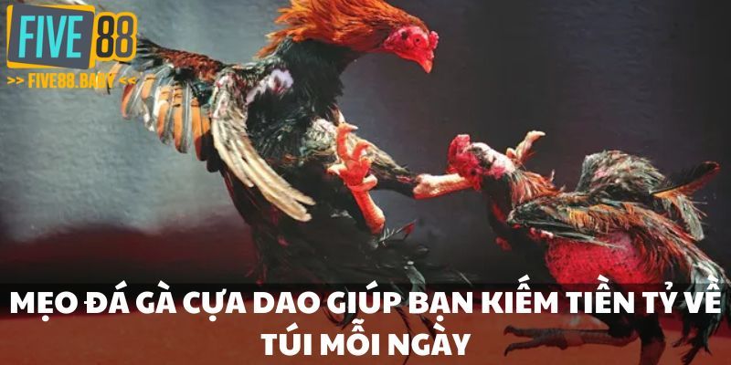 mẹo đá gà cựa dao