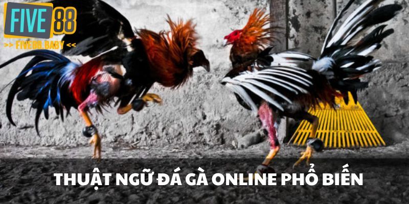 Thuật ngữ đá gà online phổ biến