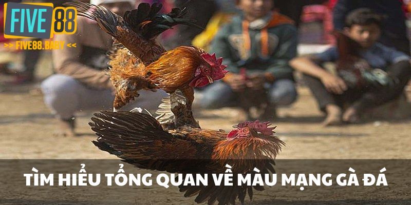 Tìm hiểu tổng quan về màu mạng gà đá