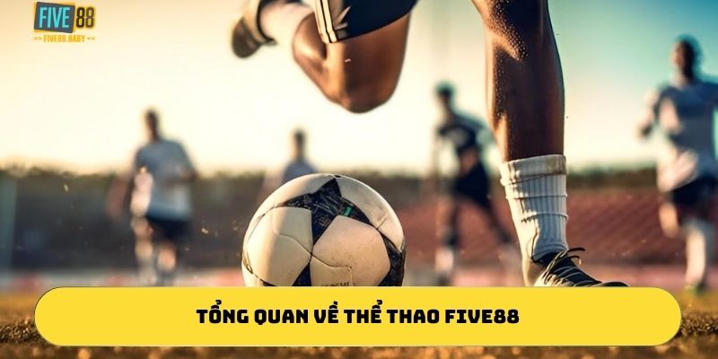 Tổng quan về thể thao five88